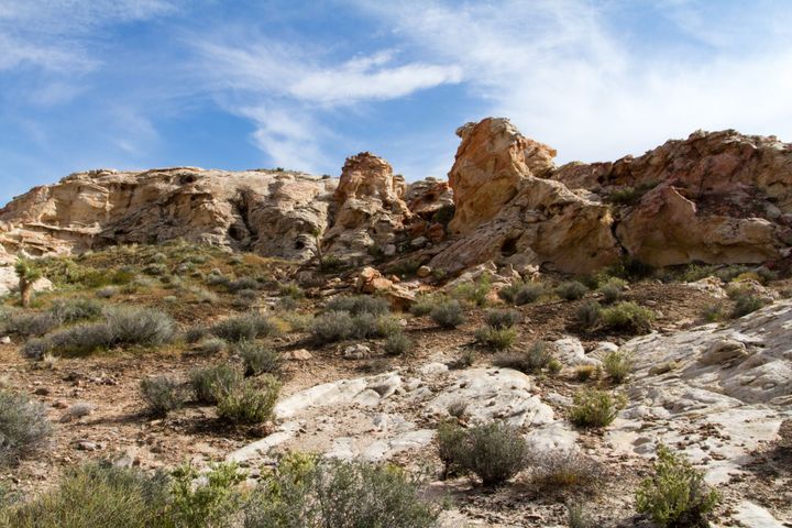 21 Goats Petroglyphs
