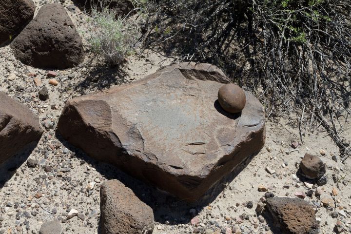 Cottonwood Ridge Petroglyphs
