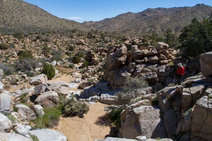 Covington Falls Petroglyphs