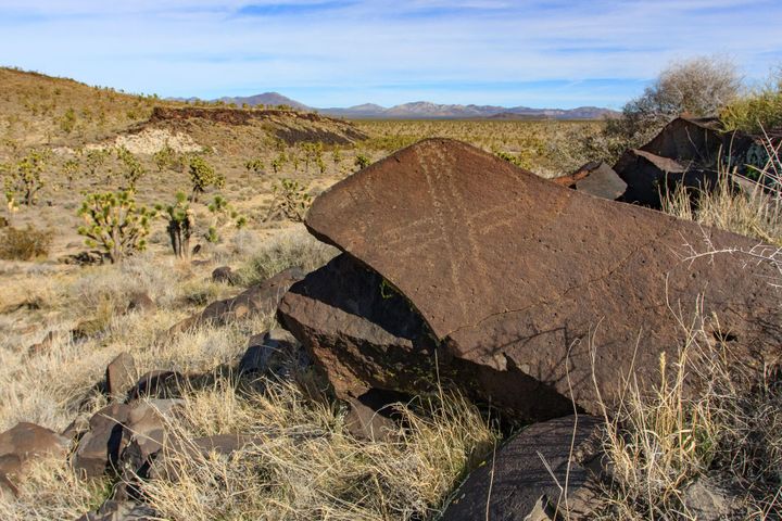 Cow Cove Petroglyphs