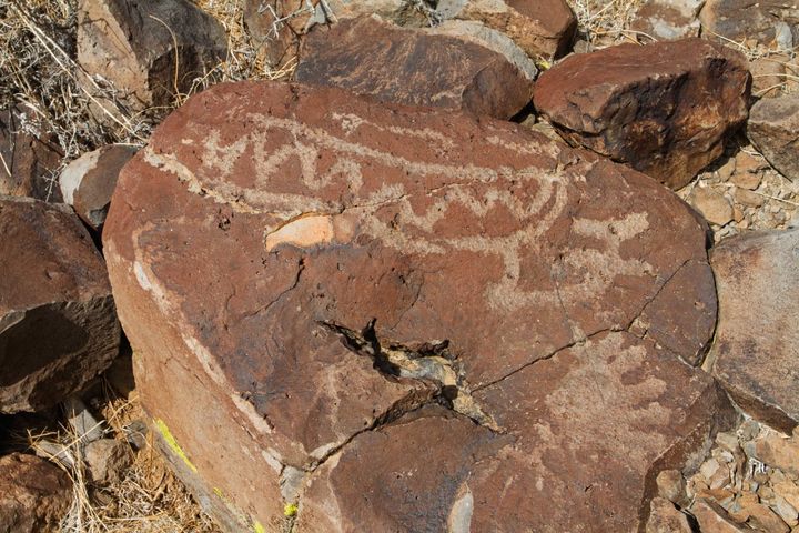 Black Lava Butte Petroglyphs