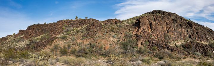 Grass Canyon Petroglyphs