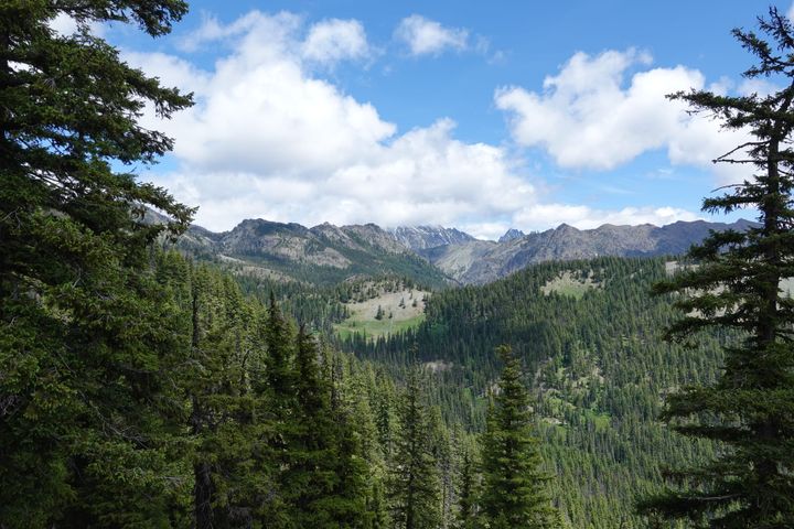 Skookum Mine (Cle Elum)