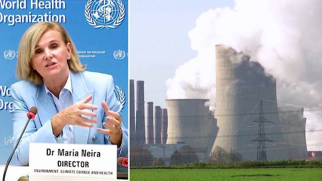 Climate change is the single biggest health threat facing humanity - WHO warns