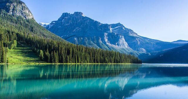 Friday reflection: Building blocks for a flourishing Muslim presence