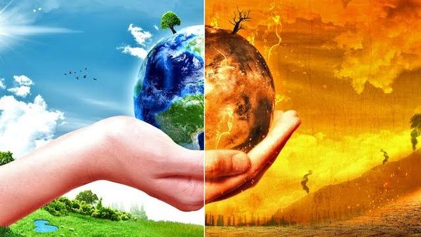 Olive Tree Foundation joins the call to act on climate change