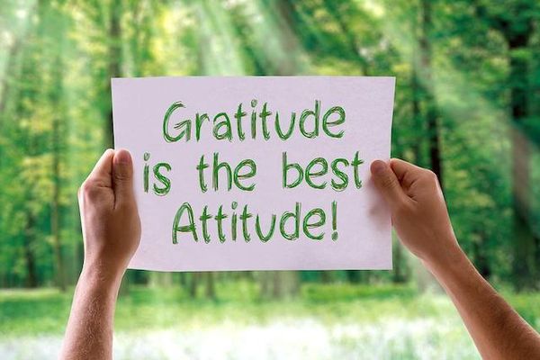 Friday reflection: On gratitude
