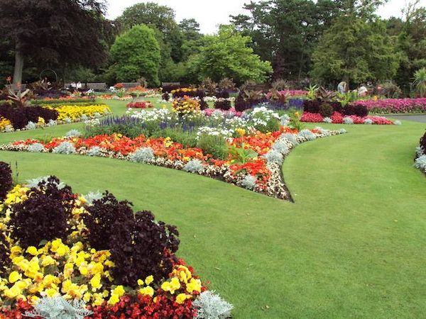 6 ways to approach Ramadan like a garden