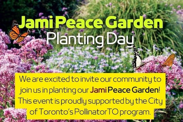 Jami Peace Garden: A ​new ​green ​space ​blooms in West Toronto