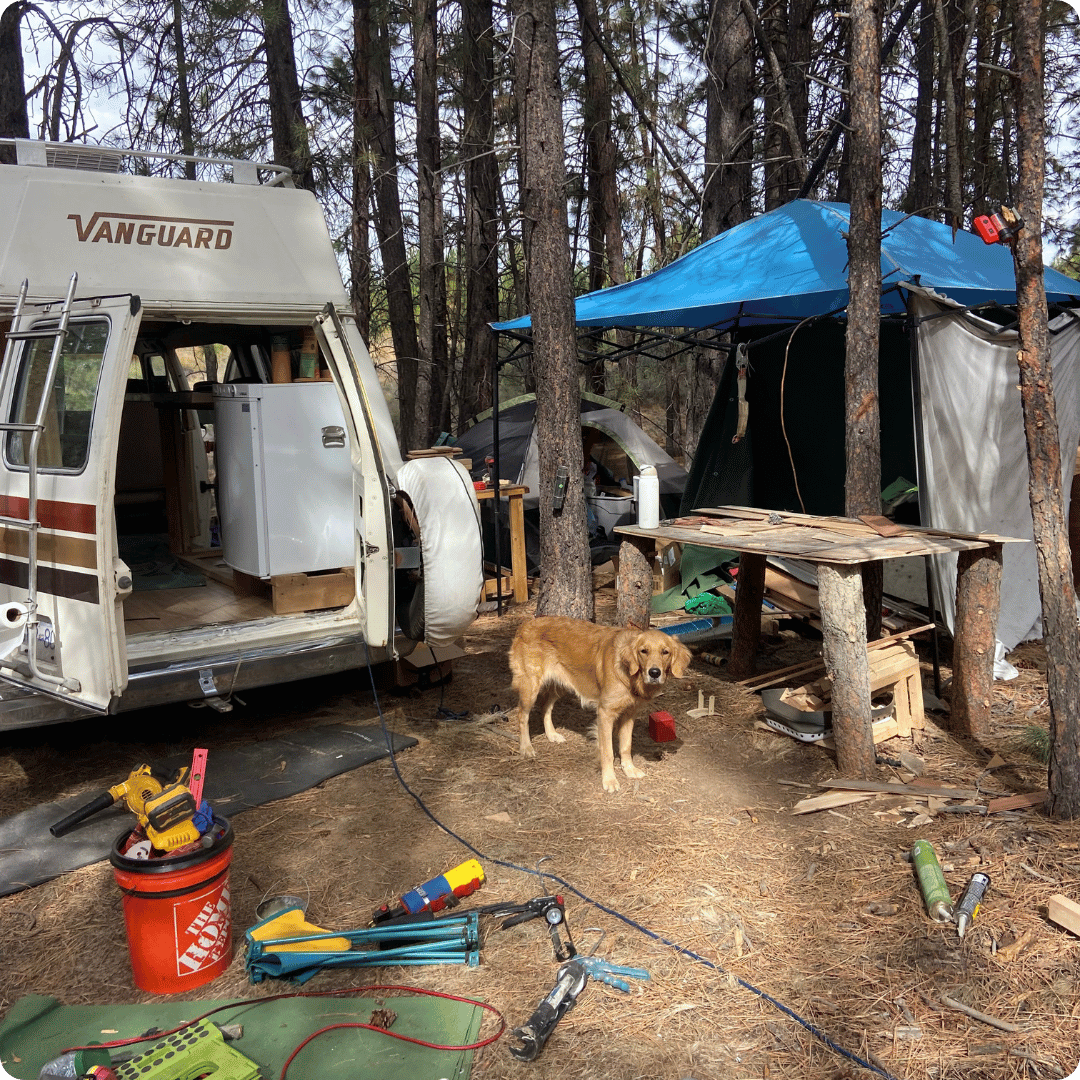 The rear of a campervan with a tent and dog in a makeshift forest workshop with tools and equipment laying around