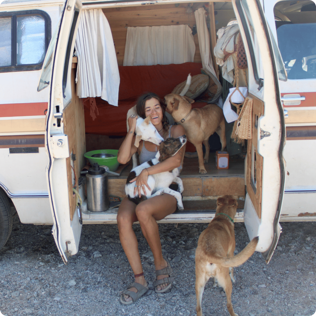 Woman sitting on the step of a campervan with four dogs