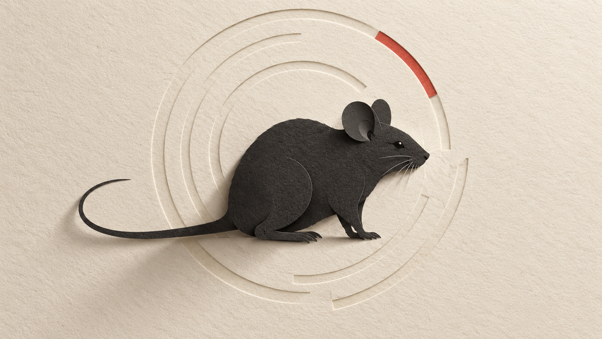 Layered charcoal paper mouse in front of ivory time rings with one red accent.