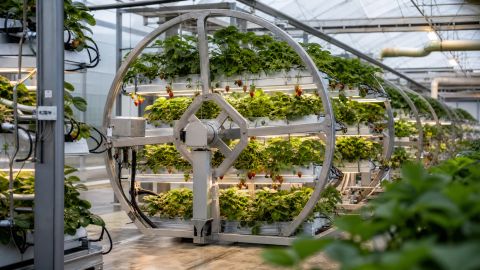 A controlled strawberry growing system with rotating plant racks, sensor modules, irrigation lines, and greenhouse energy equipment.