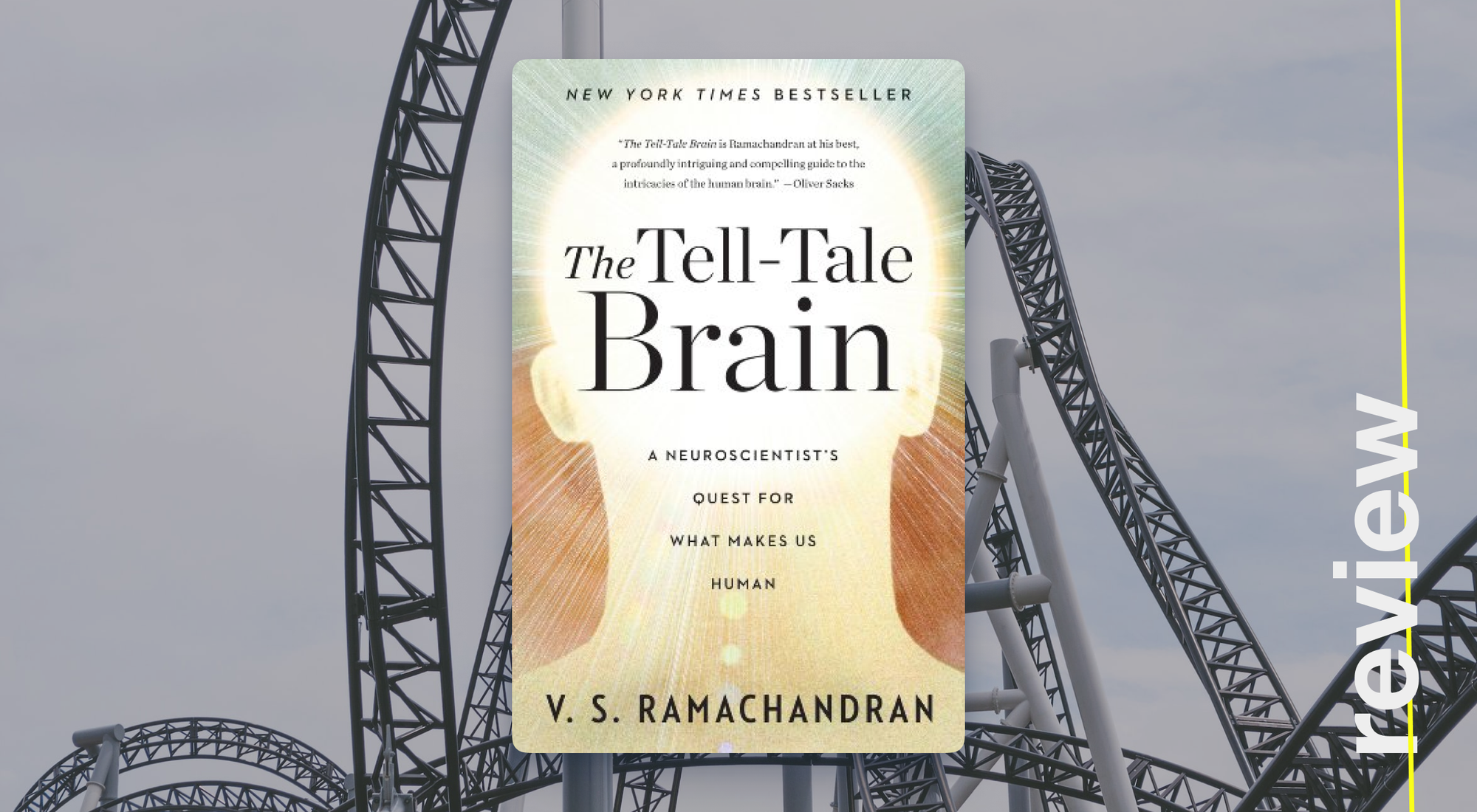 Не мозг, а Диснейленд