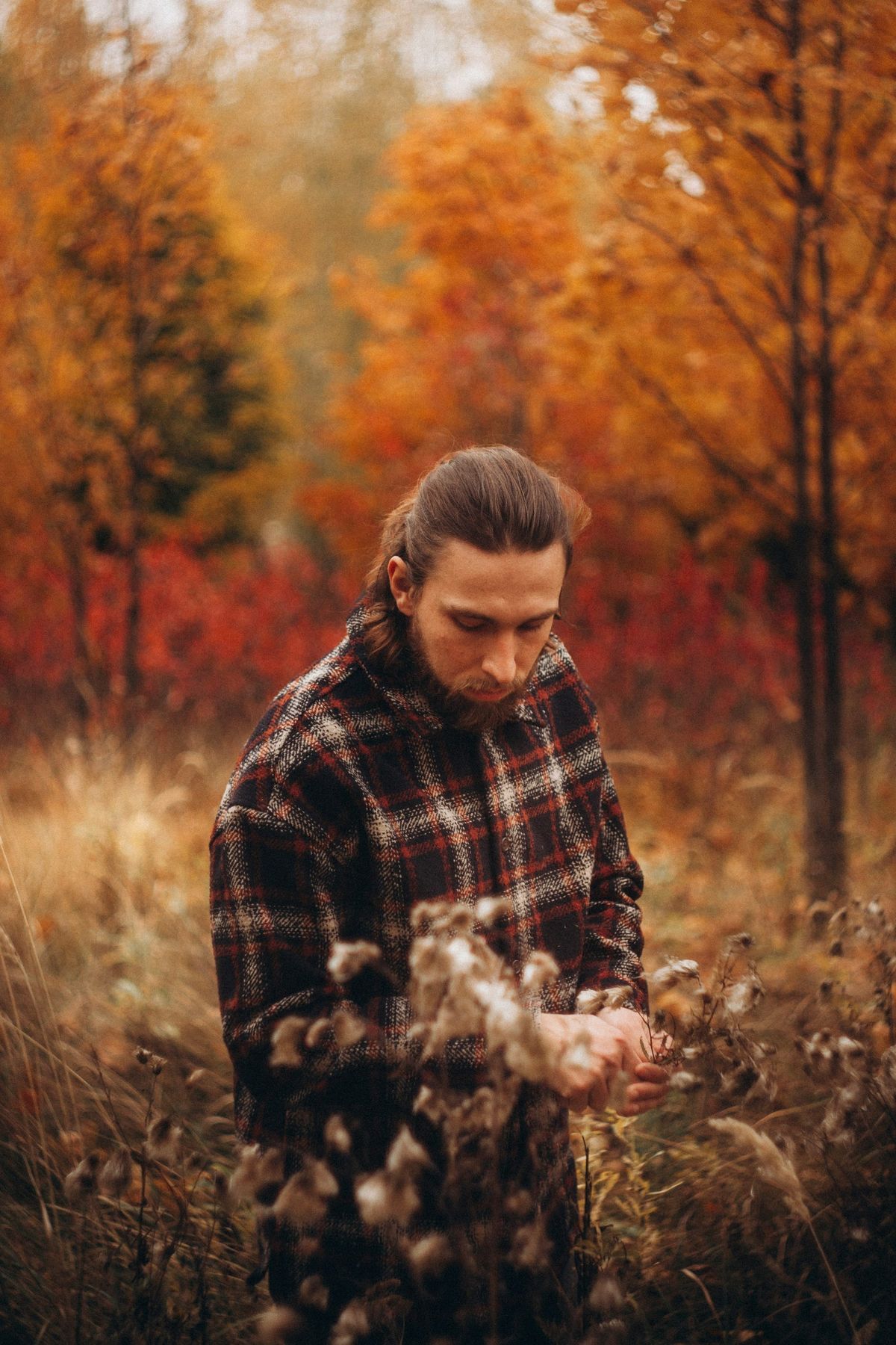 Grass and Beards