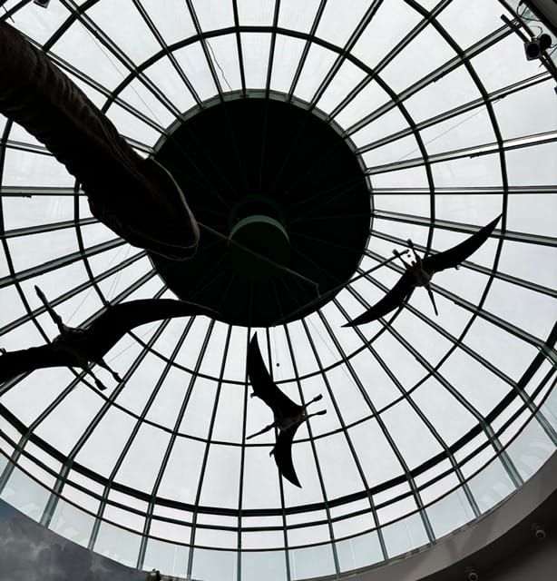 A pterosaur-rich view from beneath the dome at the North Carolina Museum of Natural Sciences