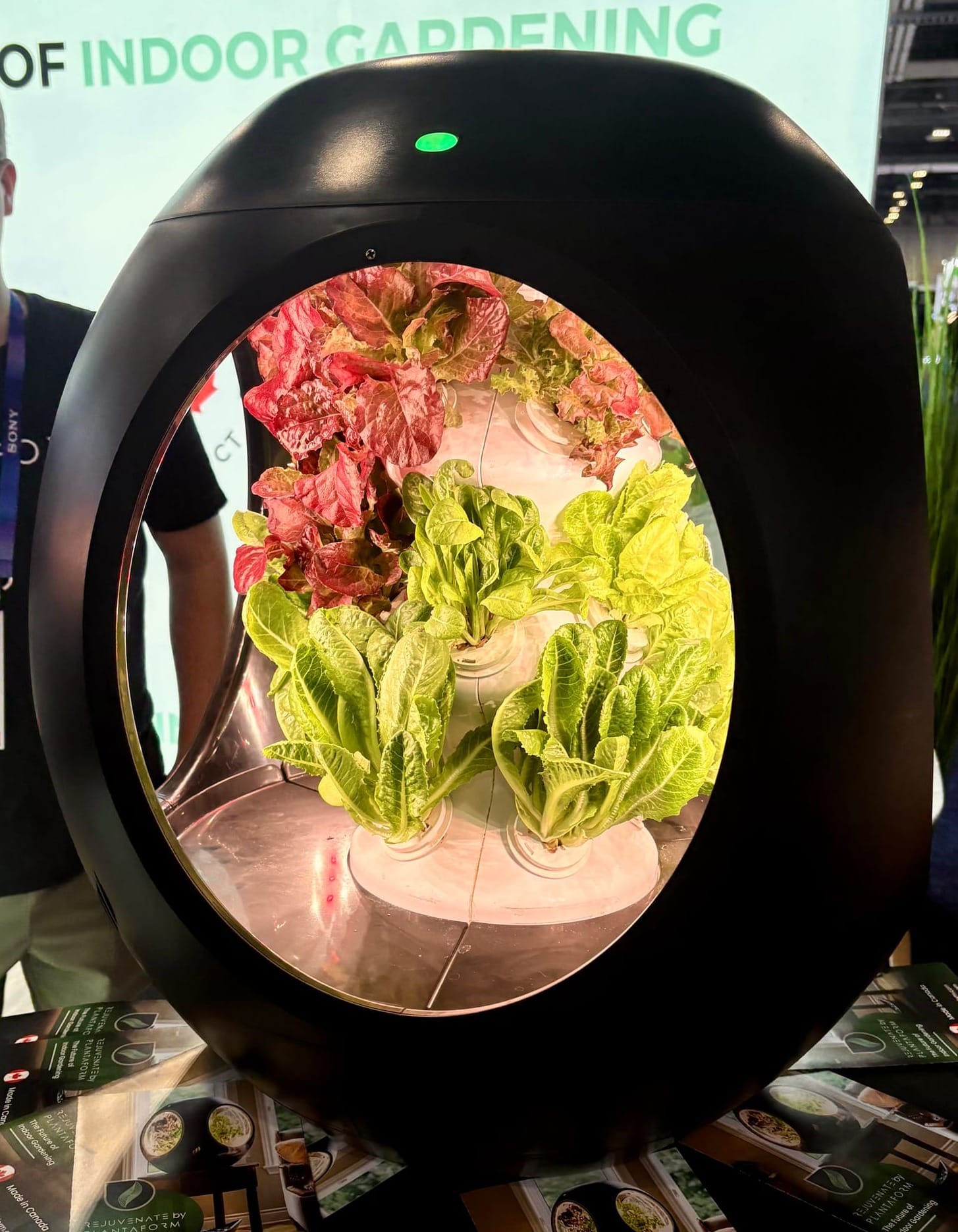 Picture of a black, futuristic indoor gardening device with a circular viewing window, showing vibrant lettuce and other greens growing inside.