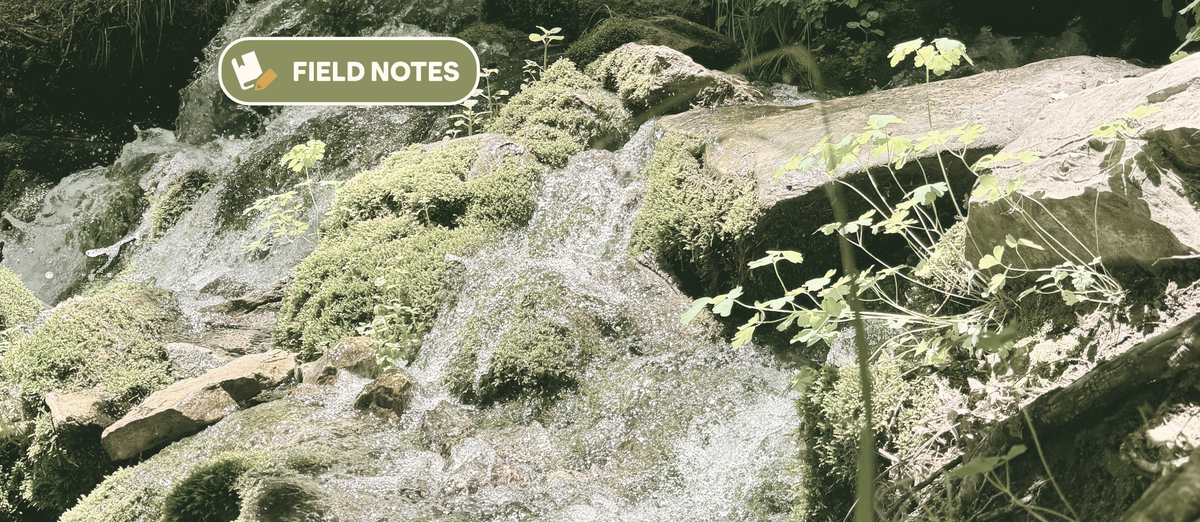 Never-Ending Spring in a Bottle