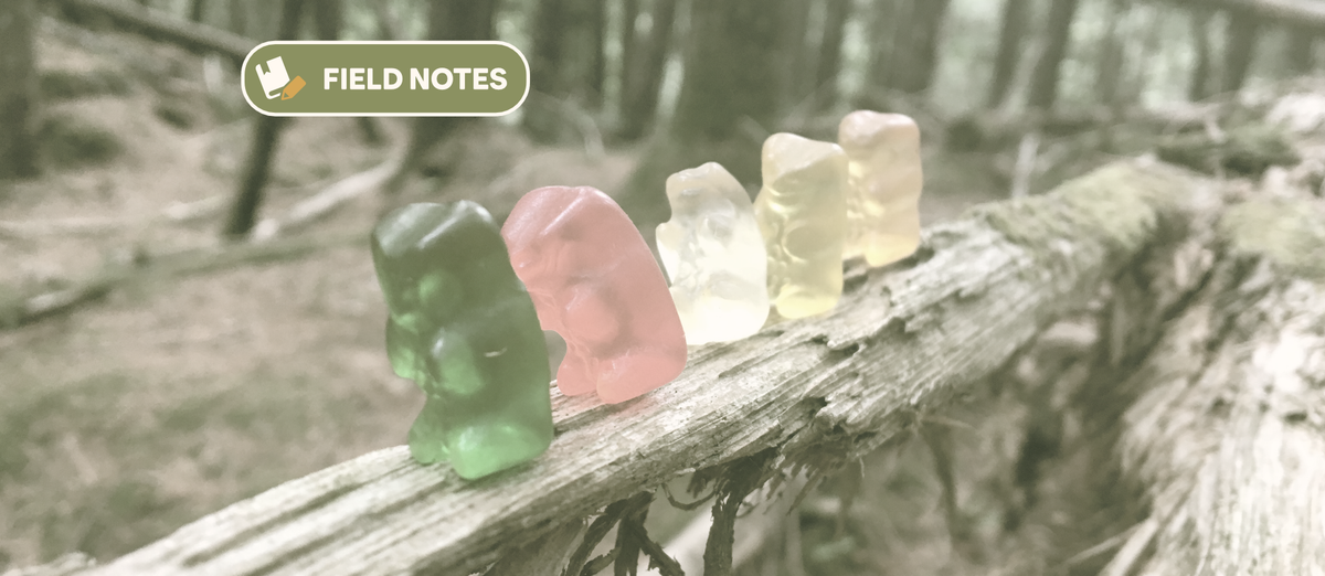 Trouble with Trail Snacks