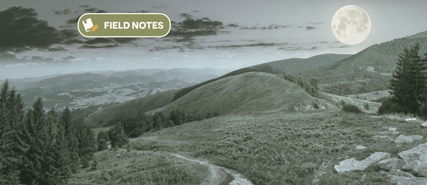 The Power of Borrowed Light