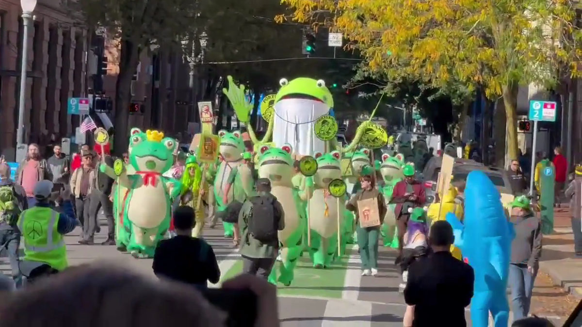 In war-torn Portland? Watch me speak at BSidesPDX!