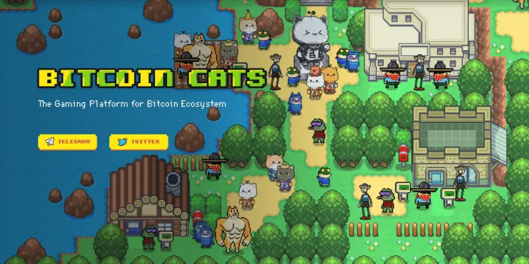 IDO 超額認購 150 倍，比特幣鏈遊 Bitcoin Cats 到底紅什麼