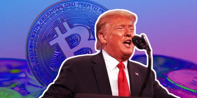 川普上台後，誰將成為 2025 年加密貨幣的主要採用者？