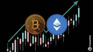 2024年日均新增154個百萬美元比特幣地址，共新增56,325個百萬富翁錢包