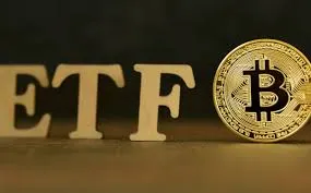 The ETF Store總裁：Cardano（ADA）或將成爲下一個申請ETF的加密品種