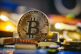 華爾街日報：DOGE調查髮現美國政府去年産生1490億美元不當支付