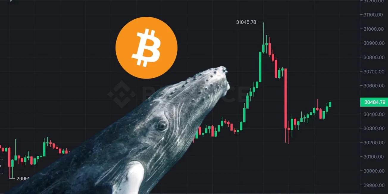 巨鯨提取並虧本出售BTC