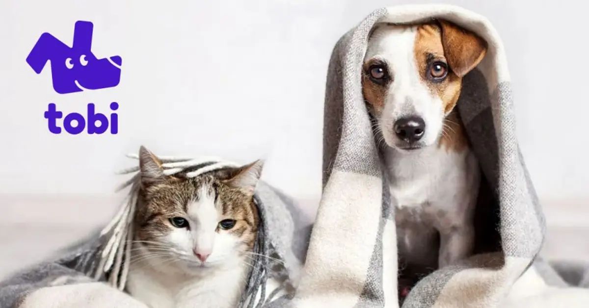 Costa Rican Tobipets Joins Leap Venture Studio