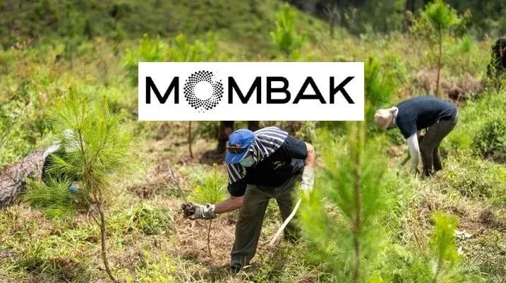Mombak Raises USD $49M for Brazil's Largest Reforestation Project with AXA and Bain Capital