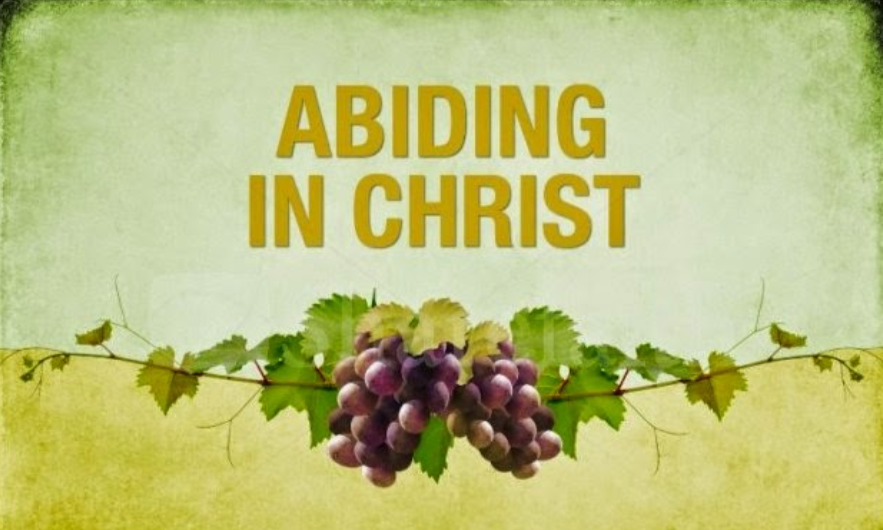 🍇🌿✝️👑✨🧎 The Posture of the Blessed: Bearing Fruit, Abiding in Christ, and Kneeling Out of Reverent Fear  [4 parts]