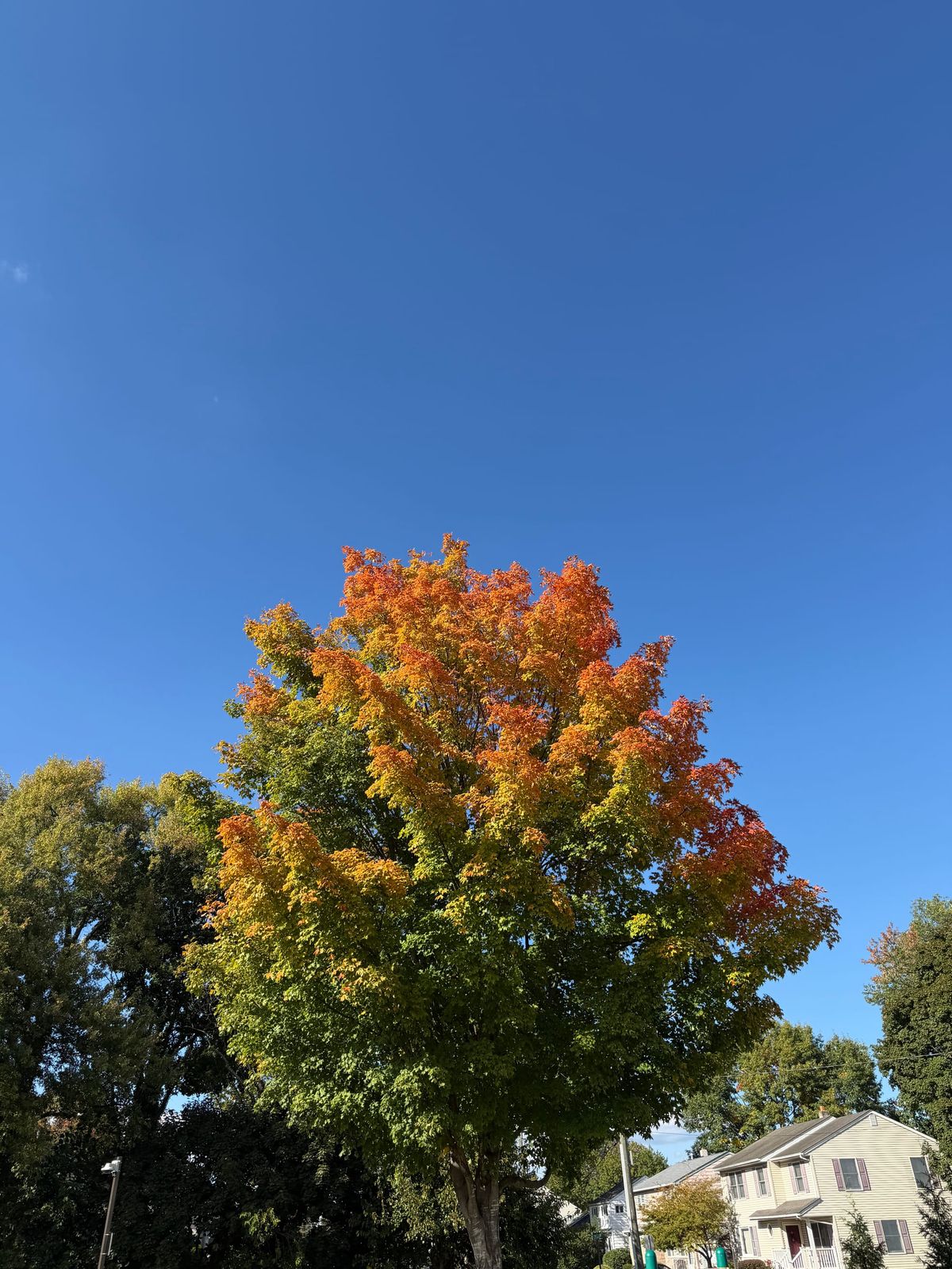 №3 Look Up