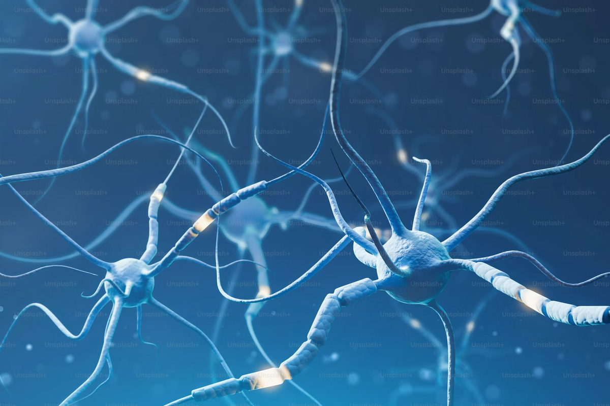 Multifocal Motor Neuropathy, or MMN, is a rare autoimmune disease that affects motor skills.