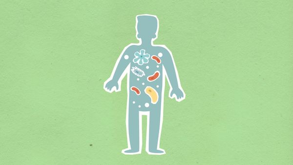 What Is Primary Biliary Cholangitis? Symptoms, Diagnosis, and What's Changed in Treatment