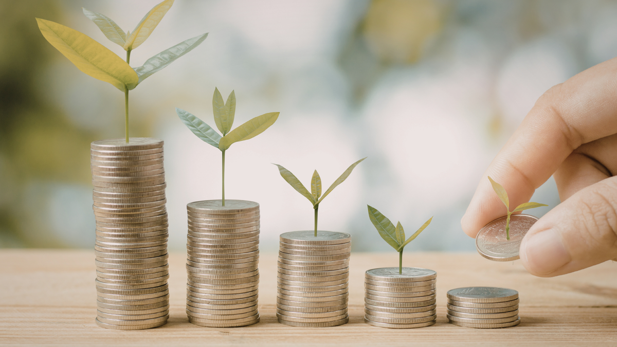 What Is SROI And Why Every Donor Should Be Asking for It