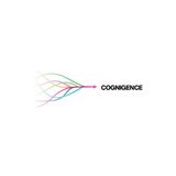 Team Cognigence