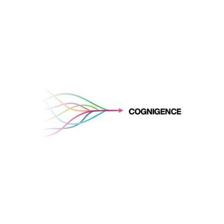Team Cognigence