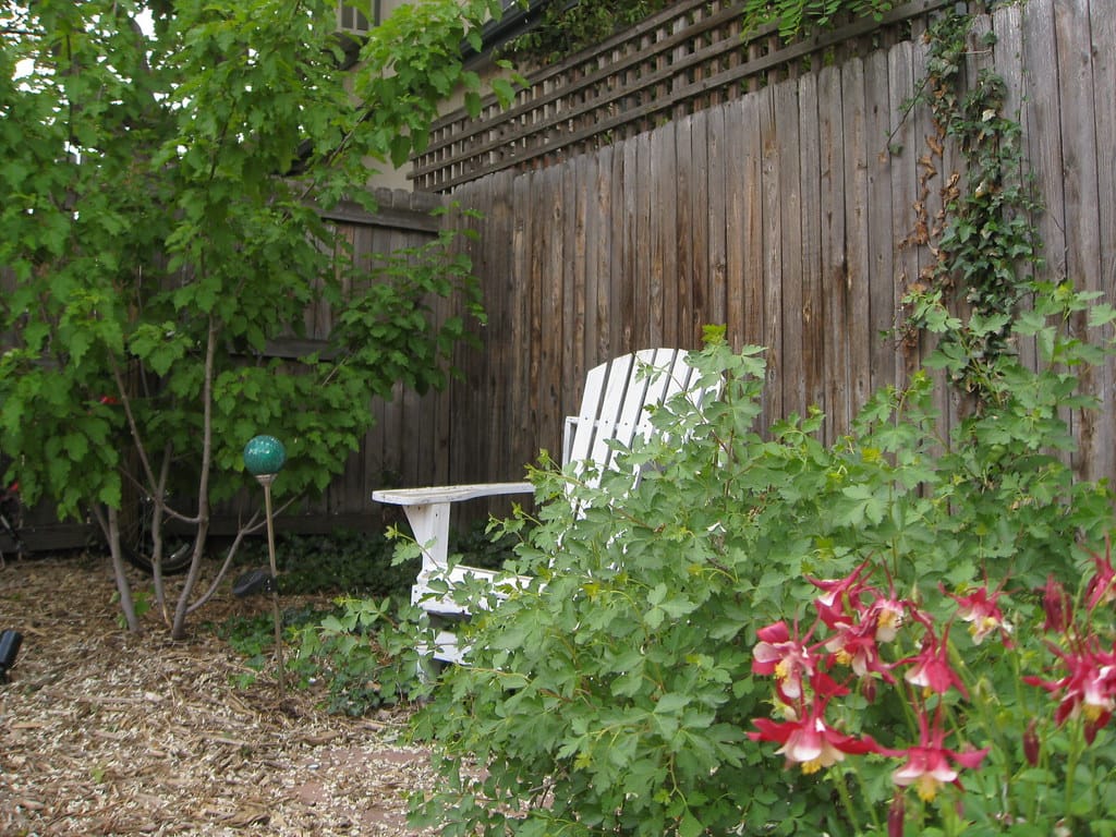 Adirondack chair in a mulched garden corner beside columbine flowers