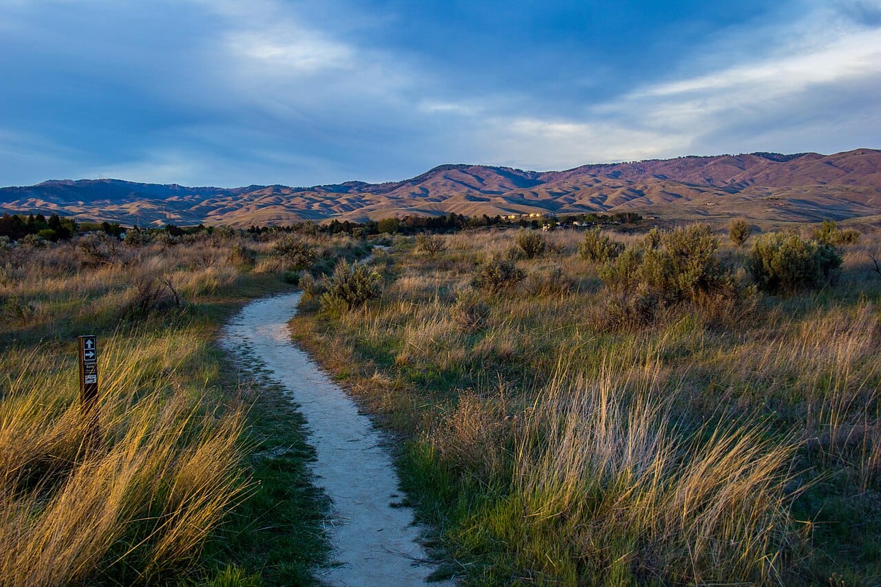 Sagebrush steppe and bunchgrasses along a trail in the Boise foothills at Hulls Gulch