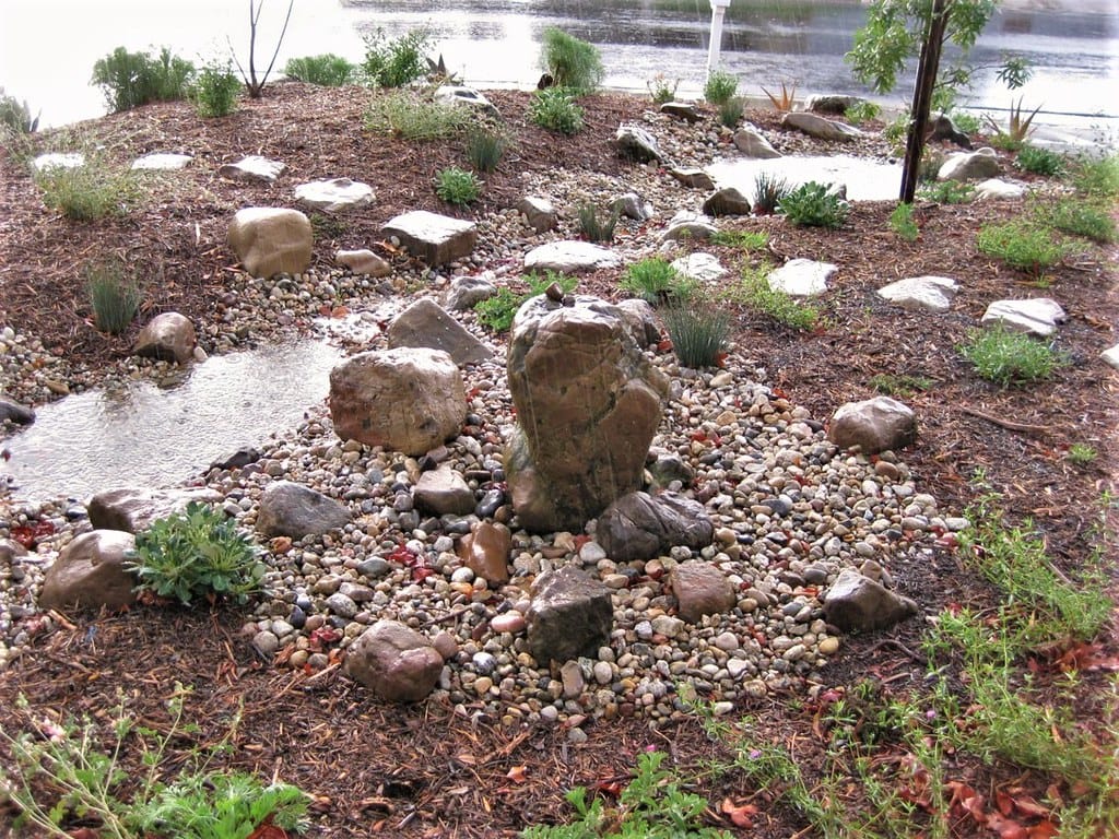 Boulders buried partway into a slope with river rock channel and young drought tolerant plants