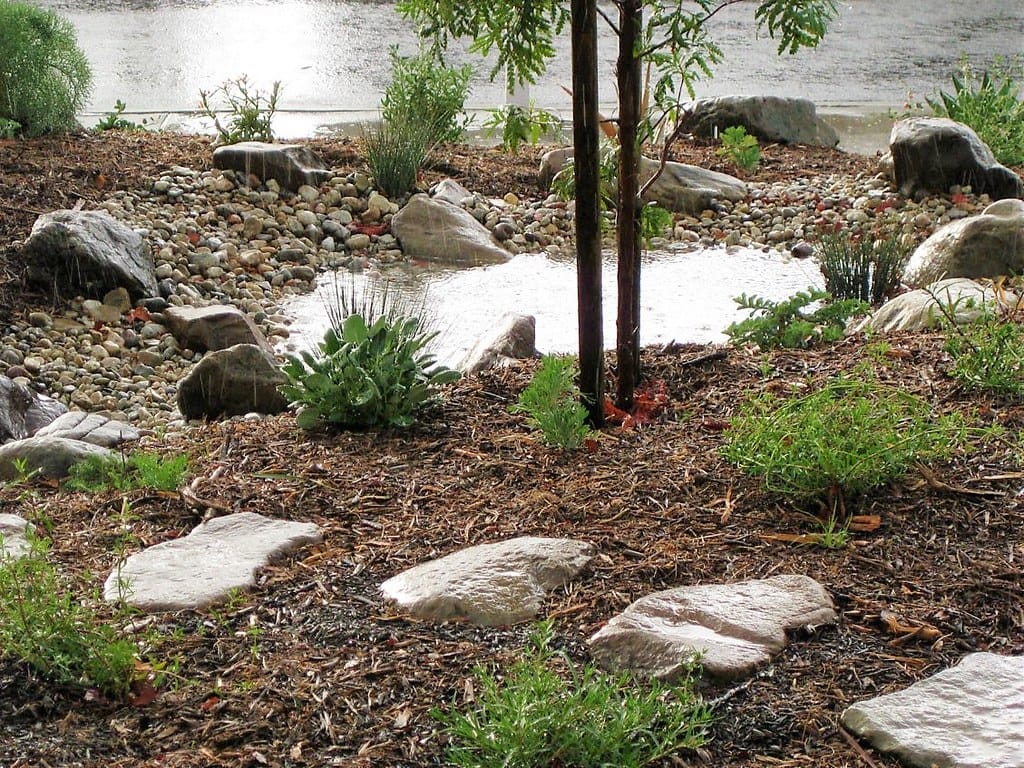 Rock-lined swale capturing rainwater in a converted California landscape