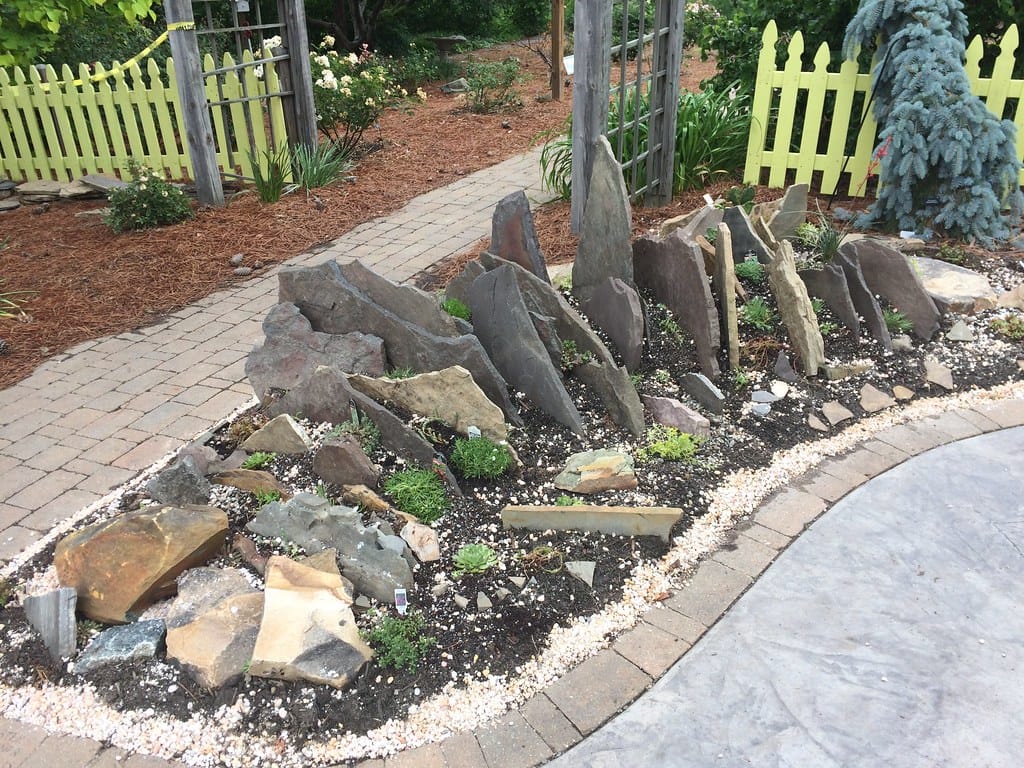 Newly planted crevice garden with upright stone slabs and small alpine plants in the gaps