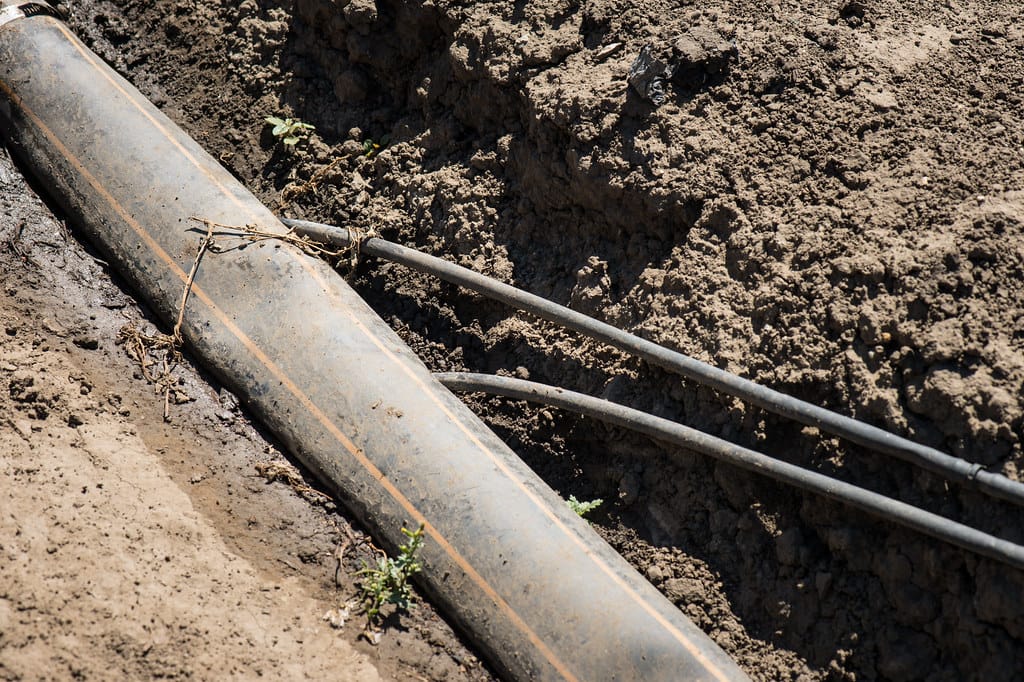 Drip irrigation lines running off a supply header along the soil