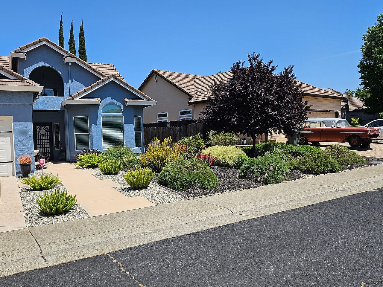Residential front yard converted from lawn to a mulched waterwise border of flowering xeriscape plants