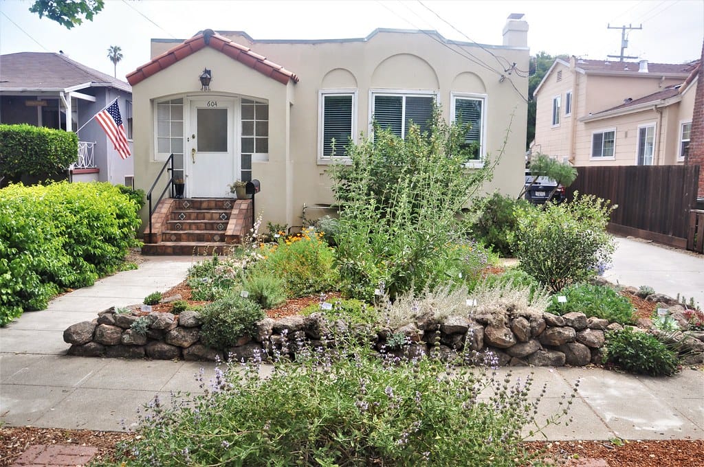 Lawn-free front yard with a low stone wall, flowering sages, and layered drought-tolerant plantings
