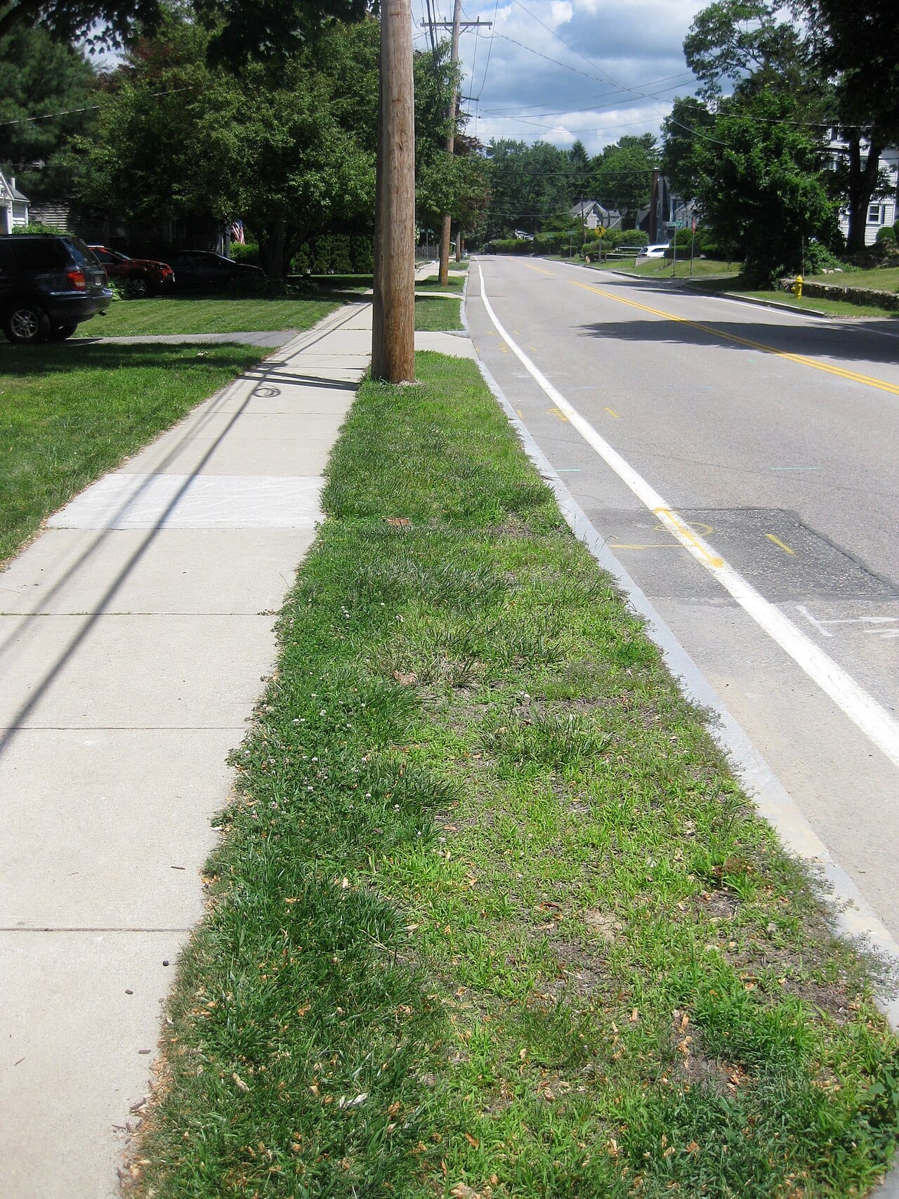 Patchy grass hell strip between a concrete sidewalk and the street with a utility pole