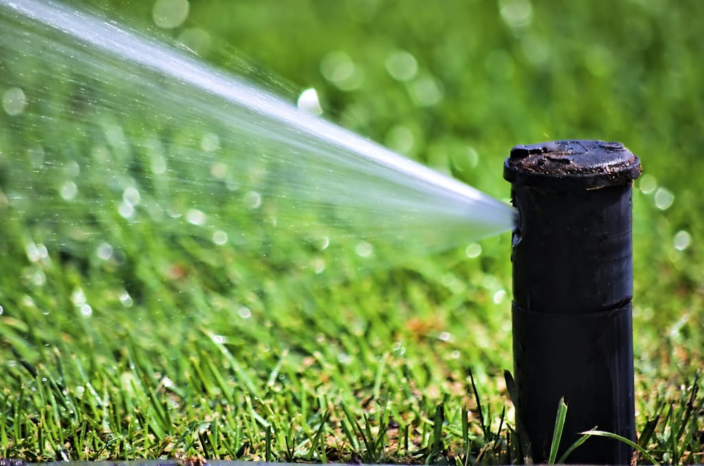 Pop-up sprinkler head spraying a stream of water across a green lawn